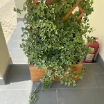 Levendula Apartamento *