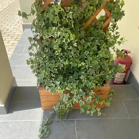 Levendula Vendeghaz Apartament *